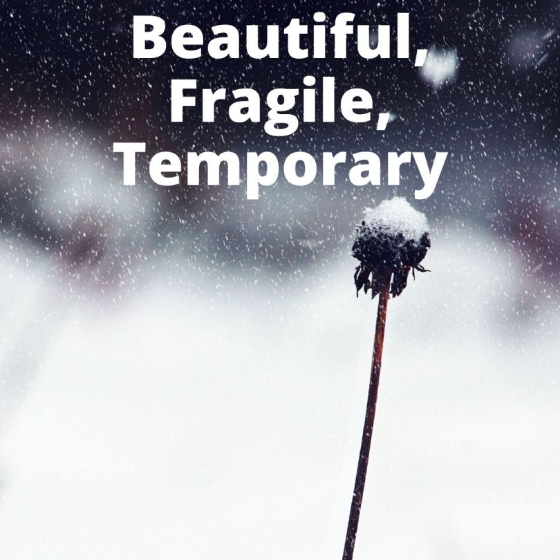 Beautiful Fragile Temporary